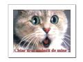 Chiar ti-ai amintit de mine? Chiar ti-ai amintit de mine?