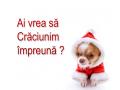 Ai vrea sa Craciunim impreuna?