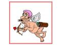 Cupidon inaripat