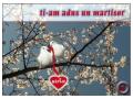 Ti-am adus un martisor