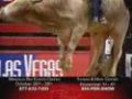 2007 PBR World Finals