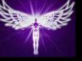 Angelic Human Race