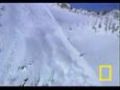 Avalanche Adventure