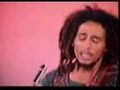 Bob Marley & the Wailers - Roots Rock Reggae