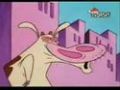 cow and chicken