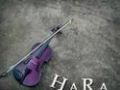 Hara - N-Ai Habar Hara - N-Ai Habar