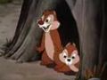 donald and chip&dale p8