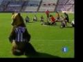 El Valladolid ficha a un oso