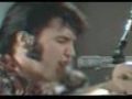 Elvis Presley - Little Sister