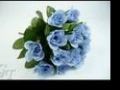 Floarea albastra