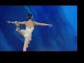 Great Chinese State Circus - Swan Lake