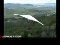 Hang_gliding