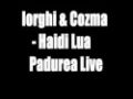 Iorghi & Cozma - Haidi Lua Padurea Live