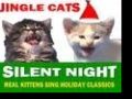 Jingle Cats - Silent Night