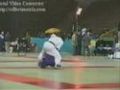 Judo Techniques
