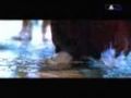 Kai Tracid - Dance For Eternity