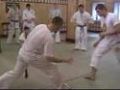 Kyokushin vs Capoiera