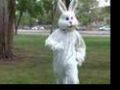 Mean Bunny - inceputul