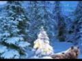 Merry Christmas - O,christmas Tree (o, Brad Frumos) - Smokie
