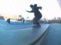 Nature Skate Video - New York City One - Billy O