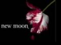 New Moon Soundtrack 2