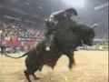 PBR 101 Ty Murray