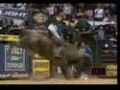 PBR rider Justin McBride clinches the 2007 PBR World Title on the back of the bull Camo.