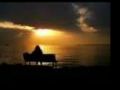 Richard Clayderman - Healing Medley