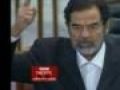 Saddam Hussein`s Downfall