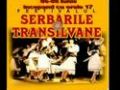 SERBARILE TRANSILVANE