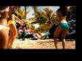 Shaggy feat. Gary "Nesta" Pine - Fly High