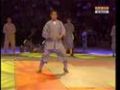 Shaolin - Paris Bercy 2007