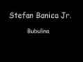 Stefan Banica Jr.- Bubulina