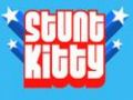 Stunt Kitty 2 - Ducky Fire