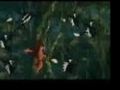 Tarzan Soundtrack - You