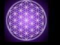 The FLOWER OF LIFE