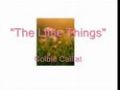 The Little Things-Colbie Caillat