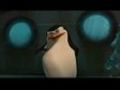 The Madagascar Penguins