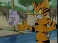 tom&jerry tiger cat