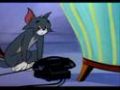 tom si jerry