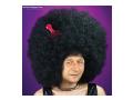 Basescu afro