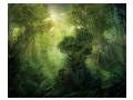 Best_Fantasy_Scenes_Wallpapers (52)