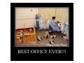 Best office ever