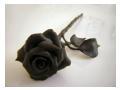 Black Rose