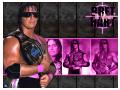 Bret Hart2