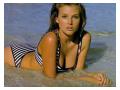Bridget Hall Sexy Bridget Hall Sexy