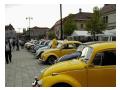 Buburuze Volkswagen Buburuze Volkswagen