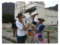 condor linistit... condor linistit...