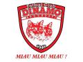 Dinamo miau miau Dinamo miau miau