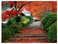 Garden Staircase